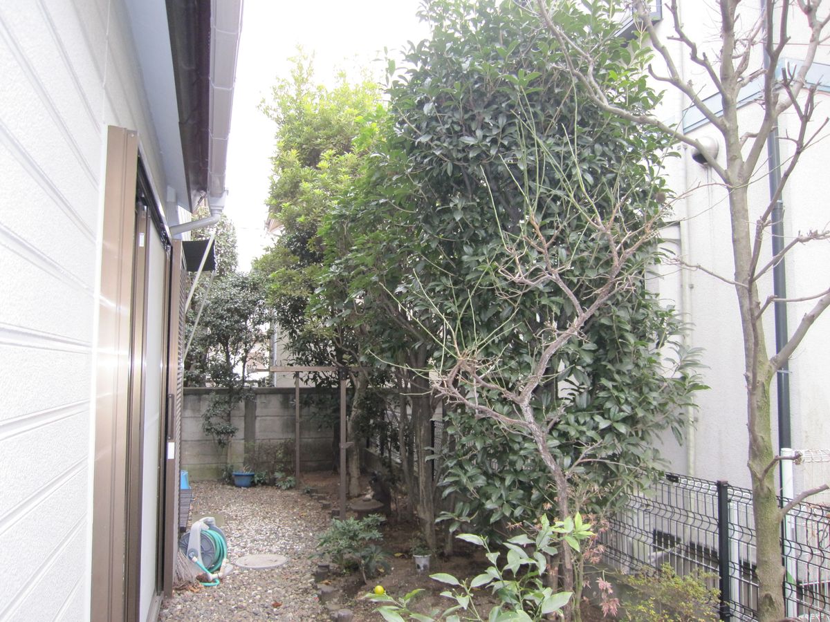 リフォーム前：木が茂り足元が見えないお庭